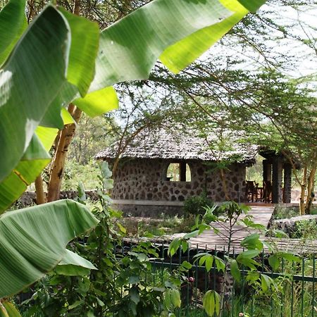 Kiboko Lodge Usa River Екстер'єр фото