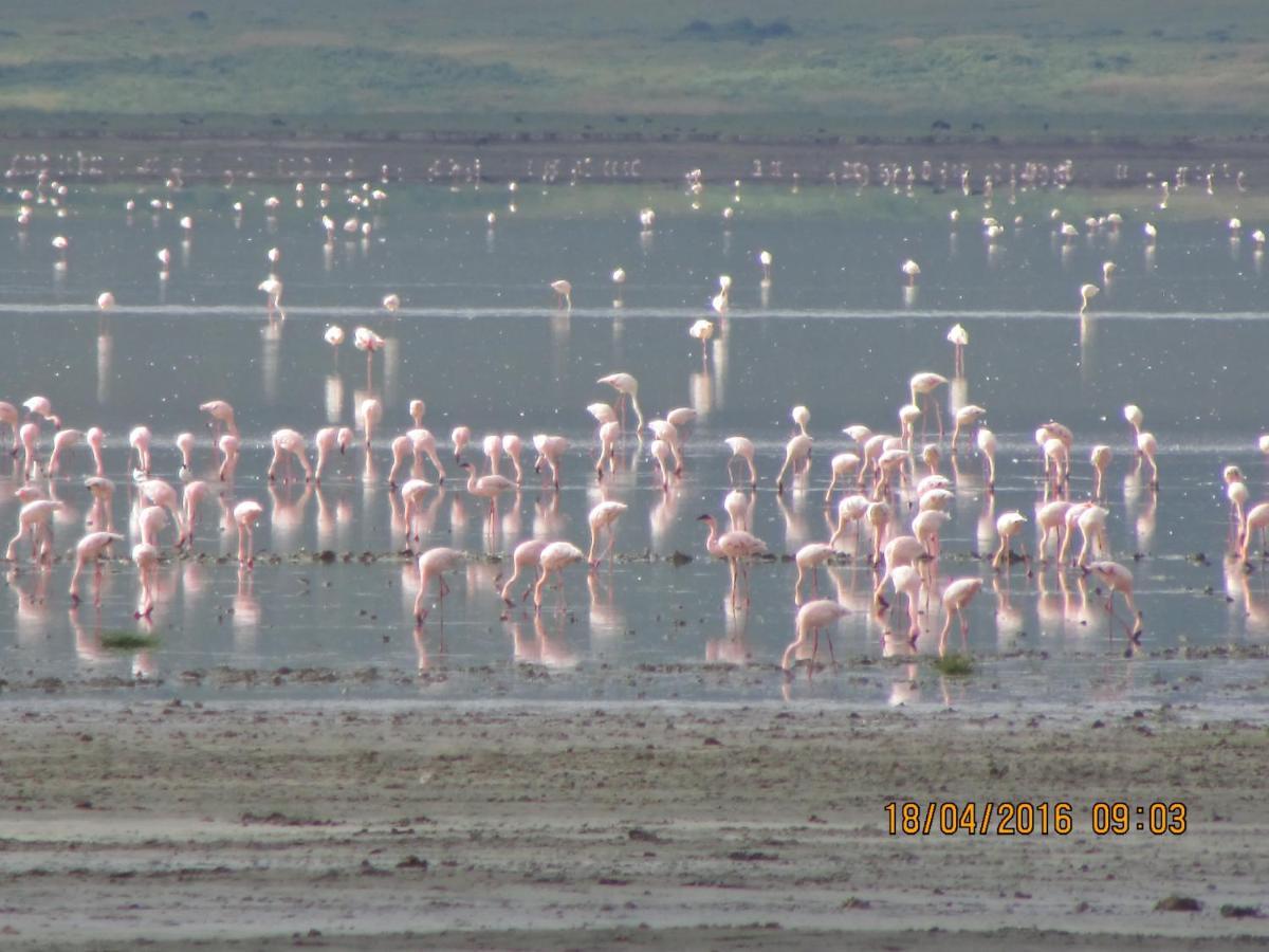 Kiboko Lodge Usa River Екстер'єр фото