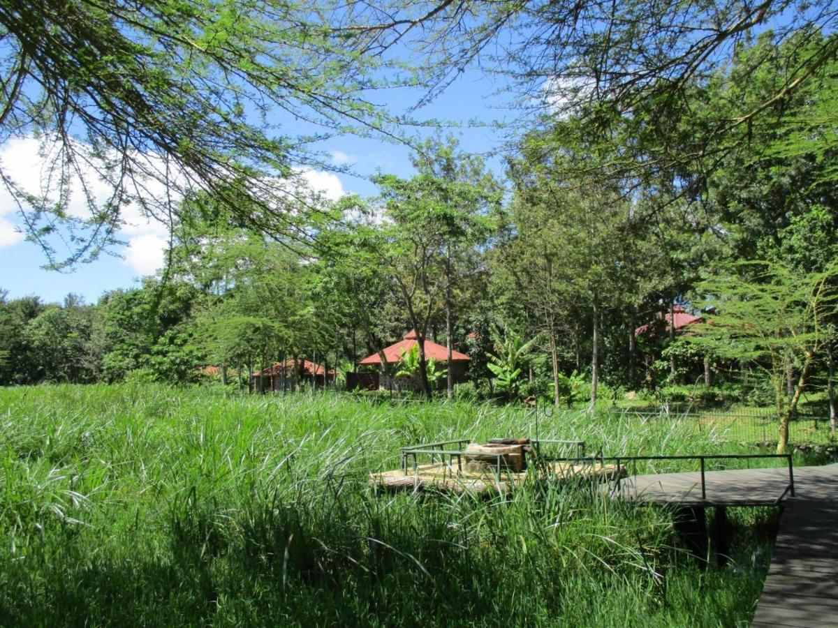 Kiboko Lodge Usa River Екстер'єр фото